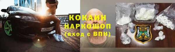 сатива Абинск
