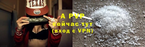 сатива Абинск