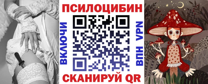закладки  Елизаветинская  Галлюциногенные грибы Magic Shrooms 